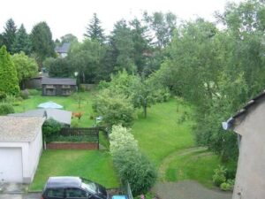 image-61671549