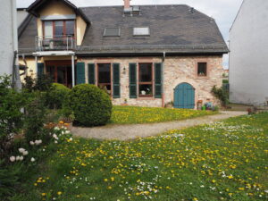 image-61671712