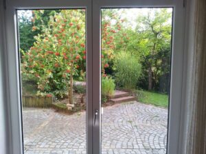 image-61694485