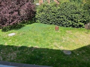 image-61702206