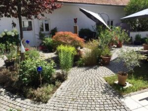 image-62013275