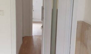 image-62072726