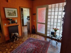 image-62077251