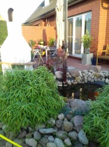 image-62085024