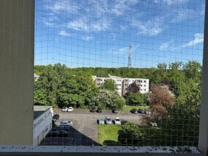 image-62127551