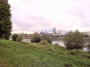 image-62178379