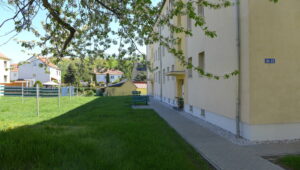 image-62181679