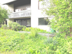 image-62234622