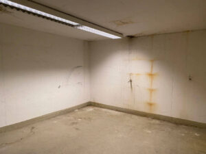 image-62334419