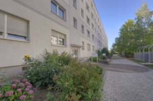 image-62356262