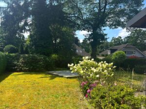 image-62371628