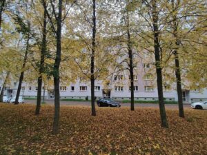 image-62458612