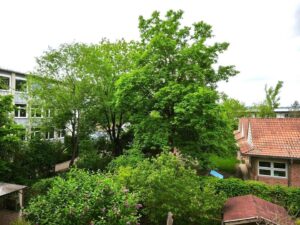 image-62473320