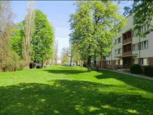 image-62520729