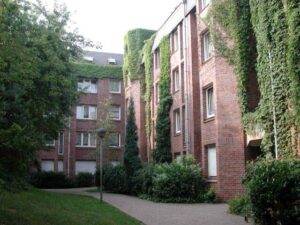 image-62706792