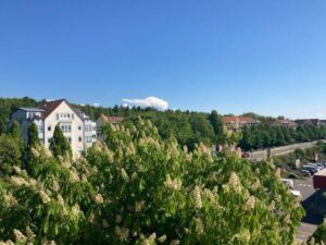 image-62746210