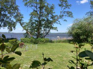 image-62756461