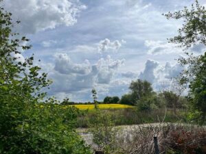 image-62773788