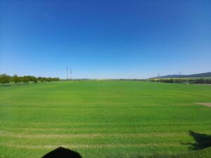 image-62815139