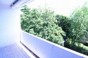 image-62879491