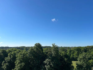 image-63197625
