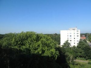 image-63248553