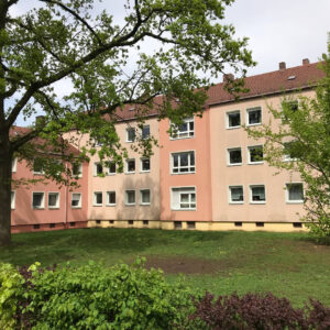 image-63256823