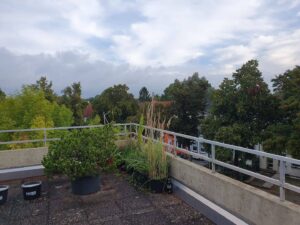 image-63311241