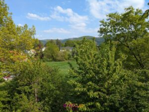 image-63385671