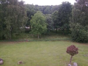 image-63413713