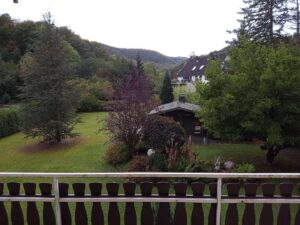 image-63475175