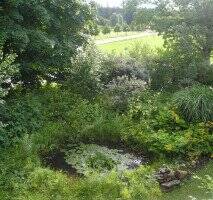 image-63528038