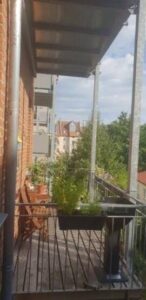 image-63576289