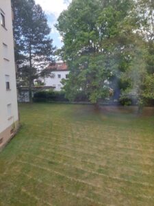 image-63592052