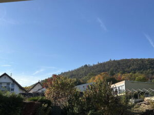 image-63635027