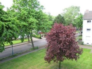 image-63952359