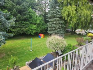 image-64096486