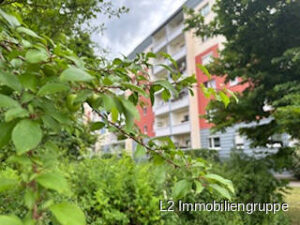image-64103710