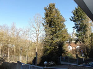 image-64362176