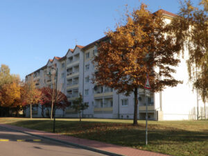 image-64381661