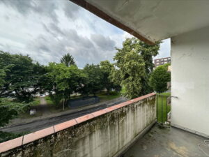 image-64389233