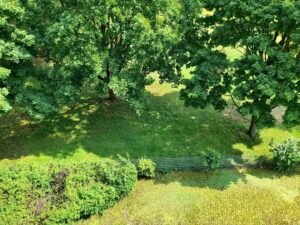 image-64402247