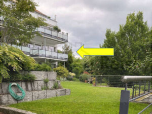 image-64411253