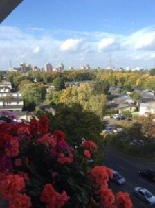 image-64440620