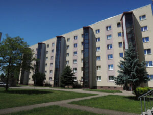 image-64458381