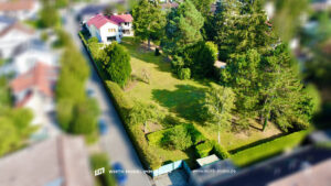image-64458405