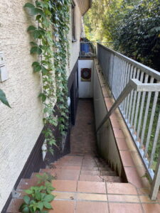image-64646282