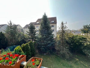 image-64695343