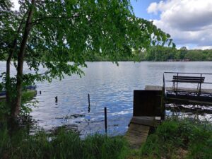 image-64703249