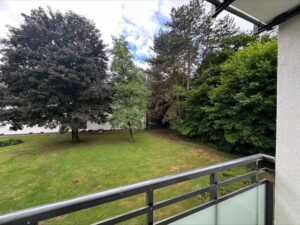 image-64718554